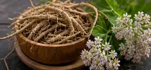 Maqui Berry Ingredient
